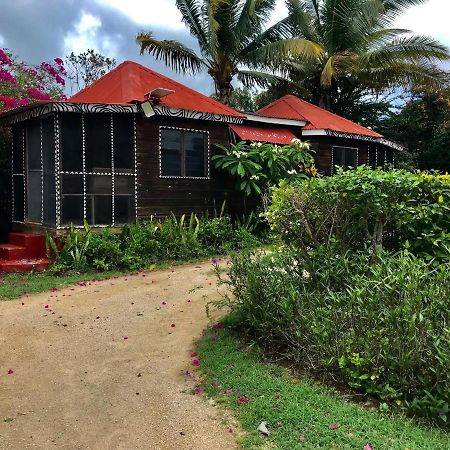 Moringa Ingadi Villa Treasure Beach Exteriör bild