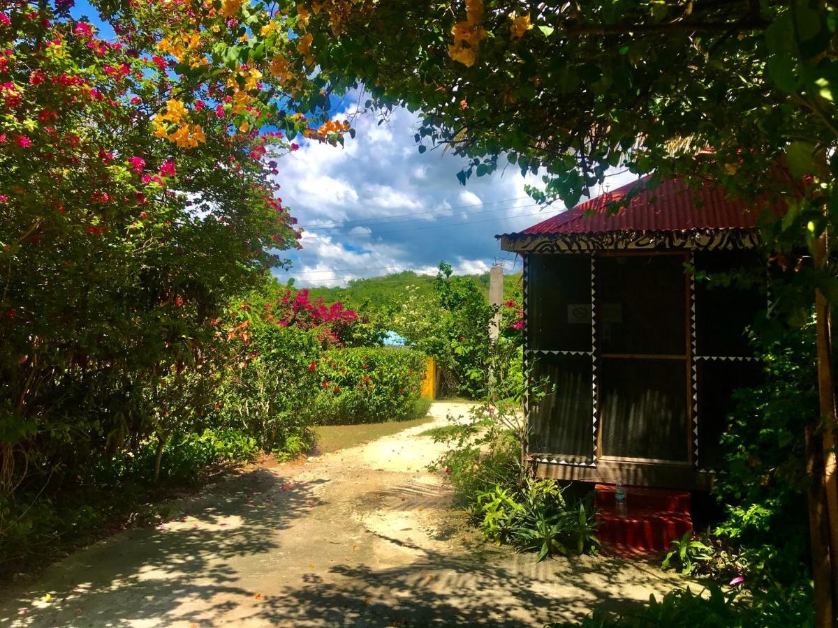 Moringa Ingadi Villa Treasure Beach Exteriör bild