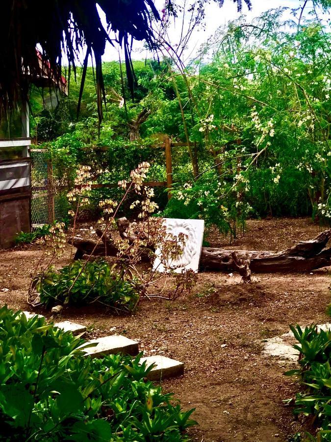 Moringa Ingadi Villa Treasure Beach Exteriör bild
