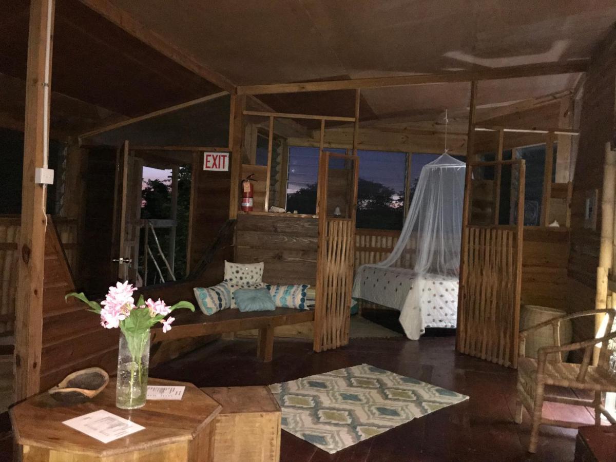 Moringa Ingadi Villa Treasure Beach Exteriör bild